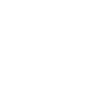 Active Score Platinum
