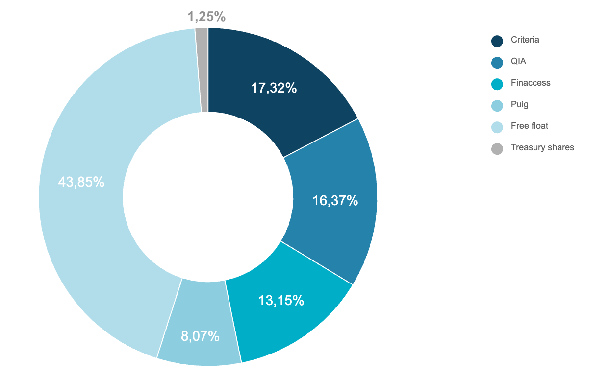 Pie chart Accionariado