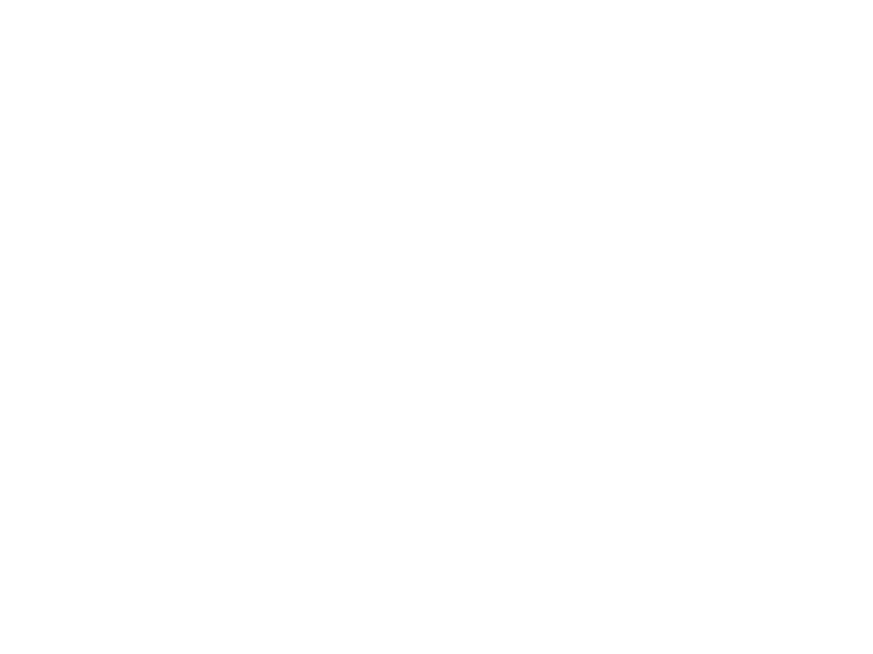 Diagonal 409