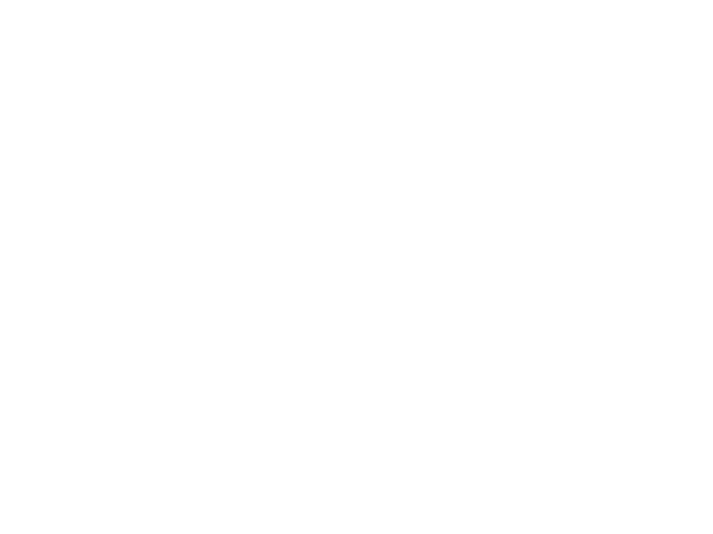 Llull 331