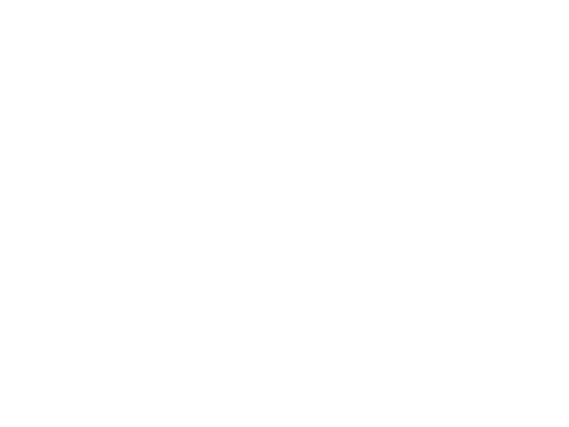 Castellana 43