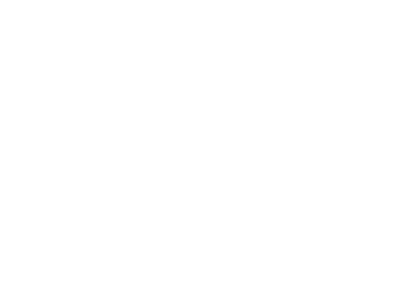 Ramírez Arellano 37