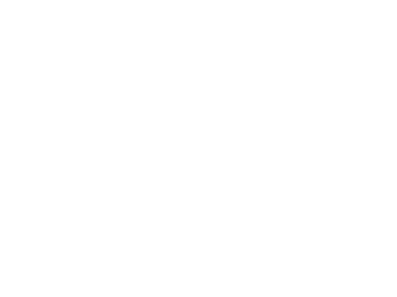 The Window Building