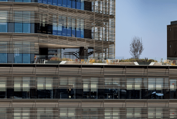 Oficinas Zero Waste, el nuevo movimiento ecológico
