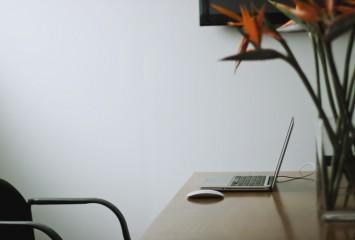 El Wellness corporativo