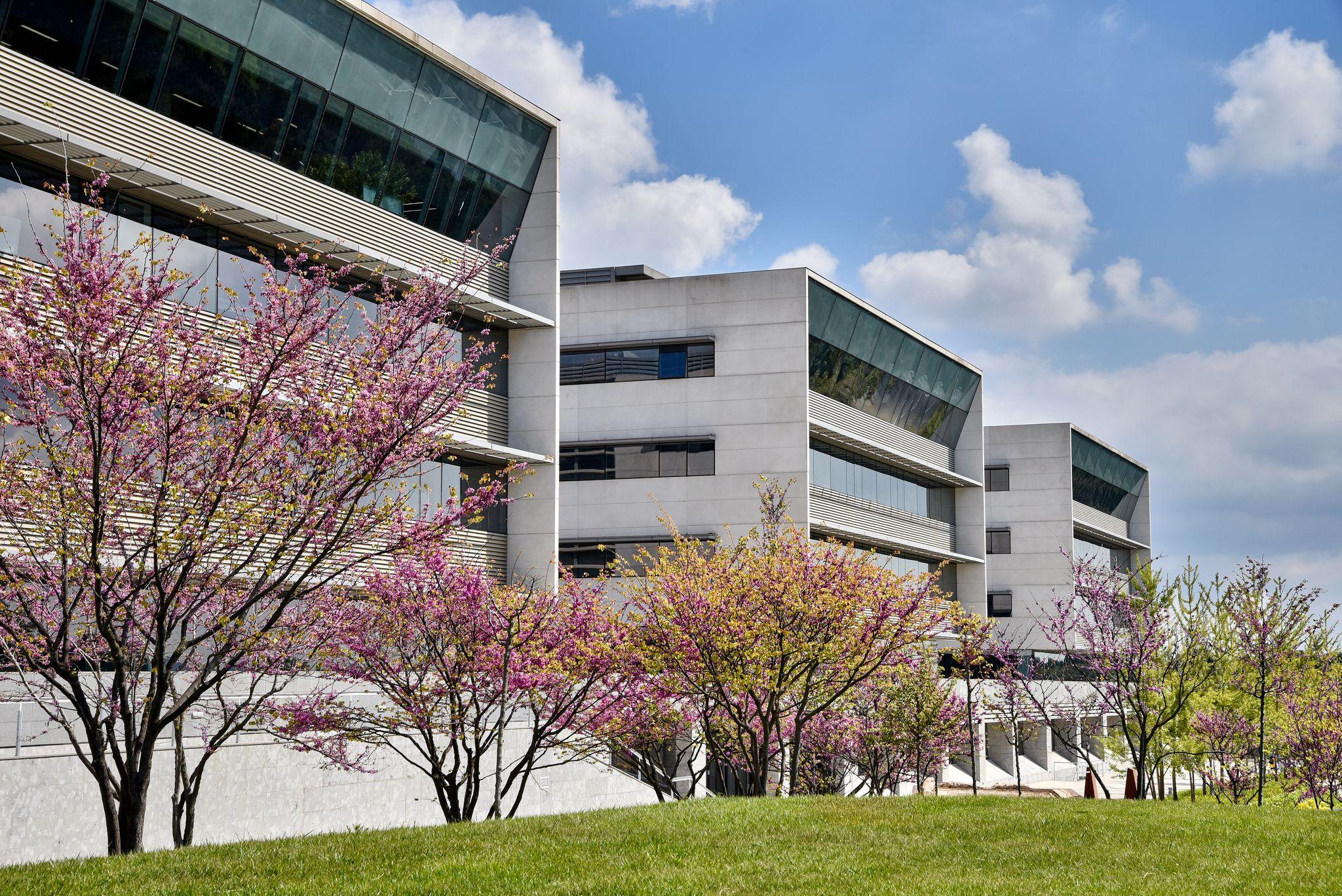 Working surrounded by nature? Yes, it is possible in Sant Cugat Nord