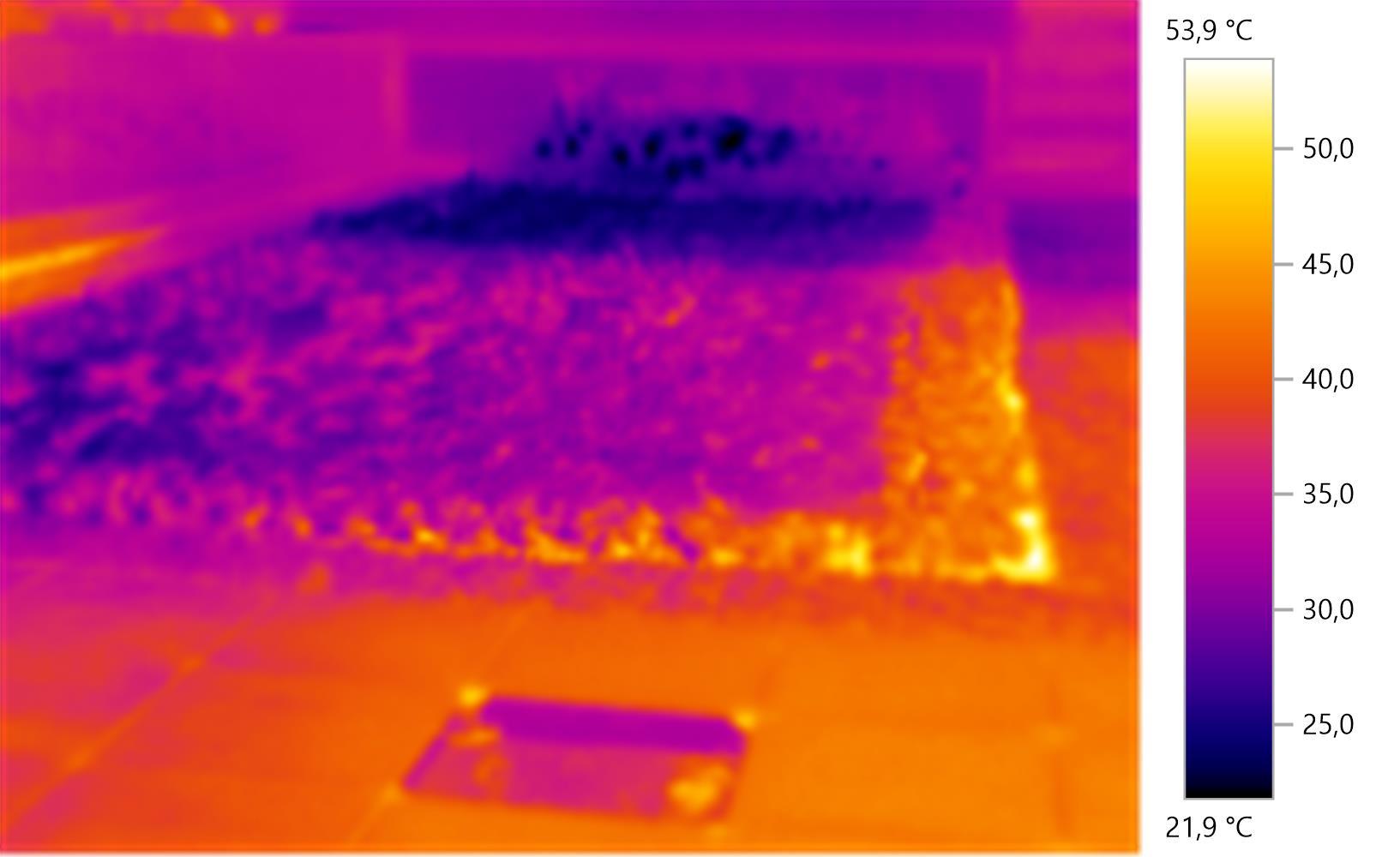 Urban heat island: how green roofs help mitigate this phenomenon