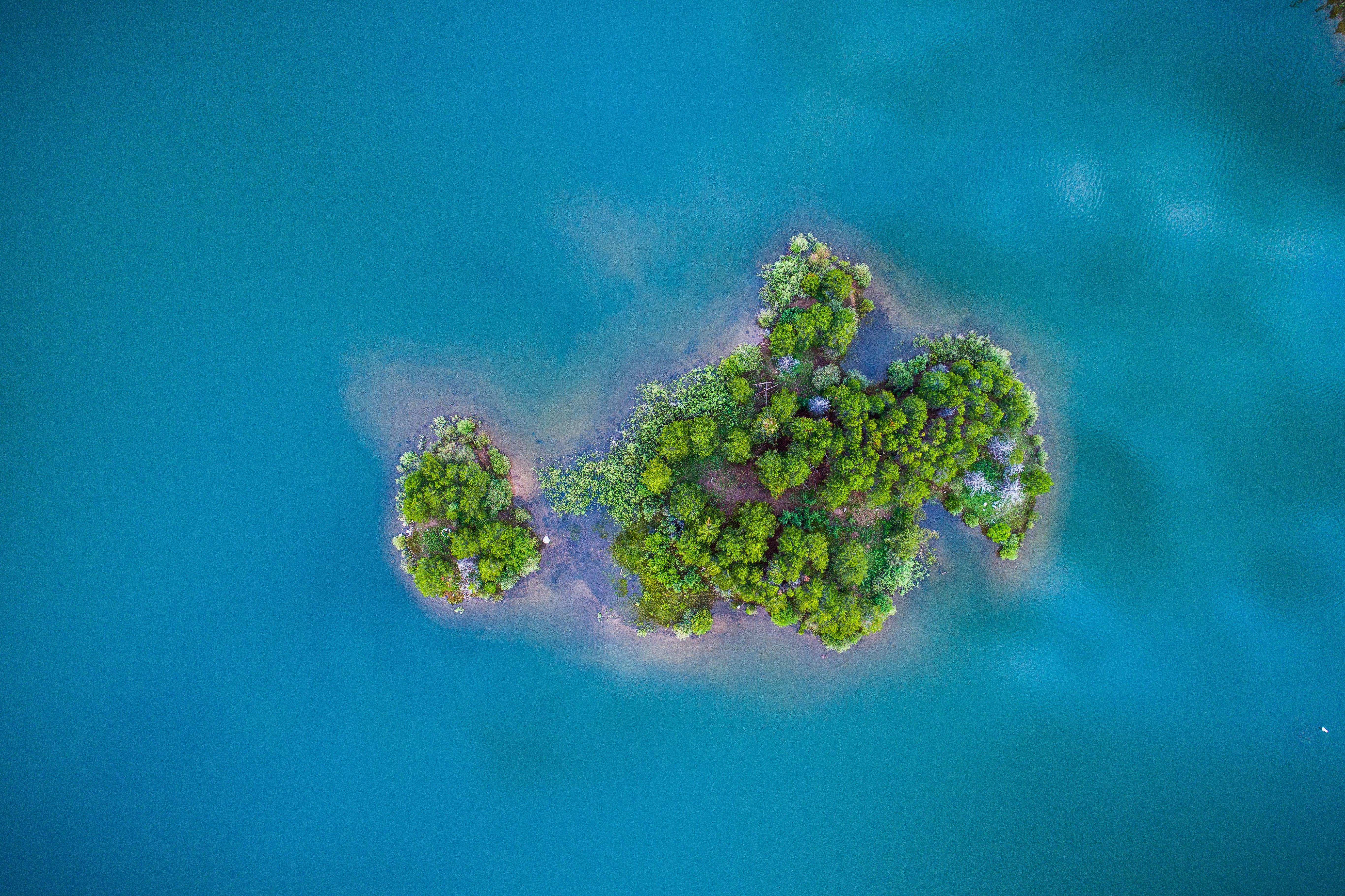Cómo las oficinas pueden combatir el cambio climático
