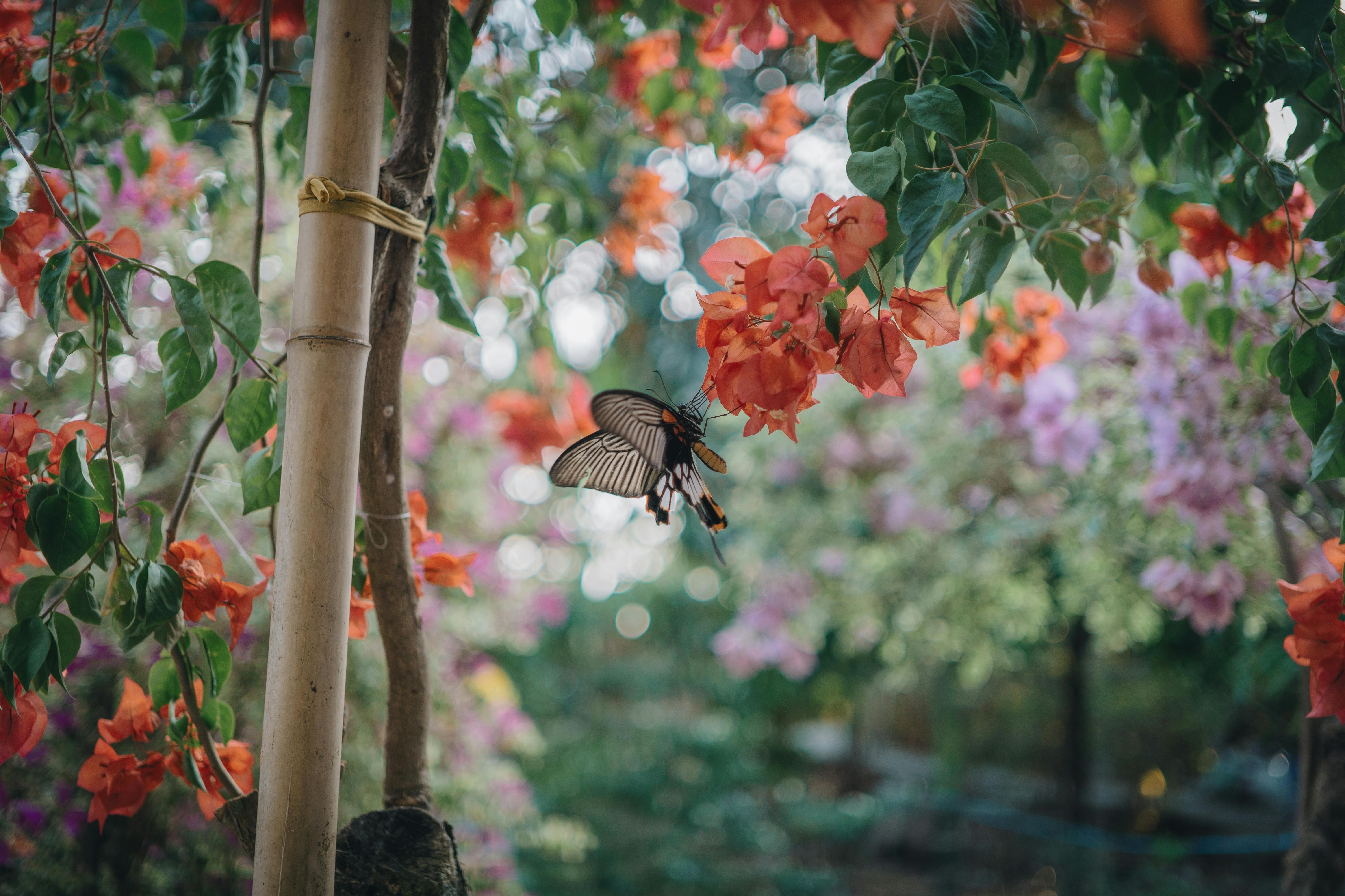 Native fauna and flora: the office as an ally of nature