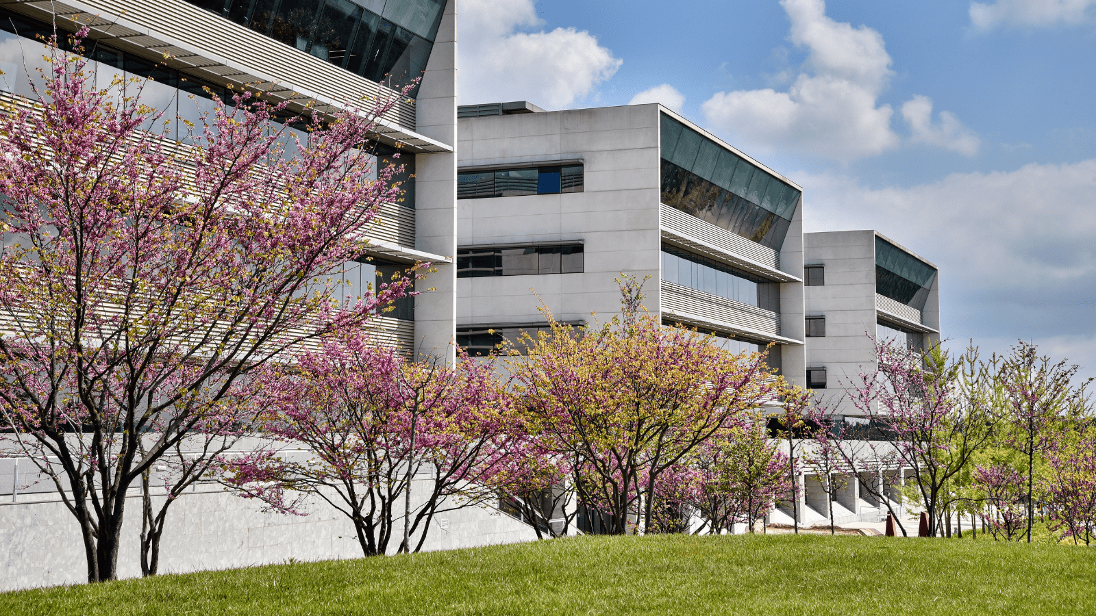 Zero Carbon Footprint in Buildings: Strategies to Achieve It