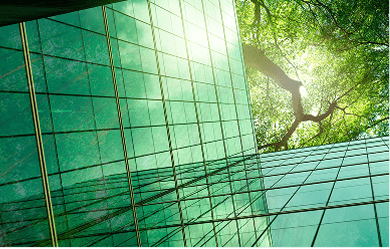 Building and tree