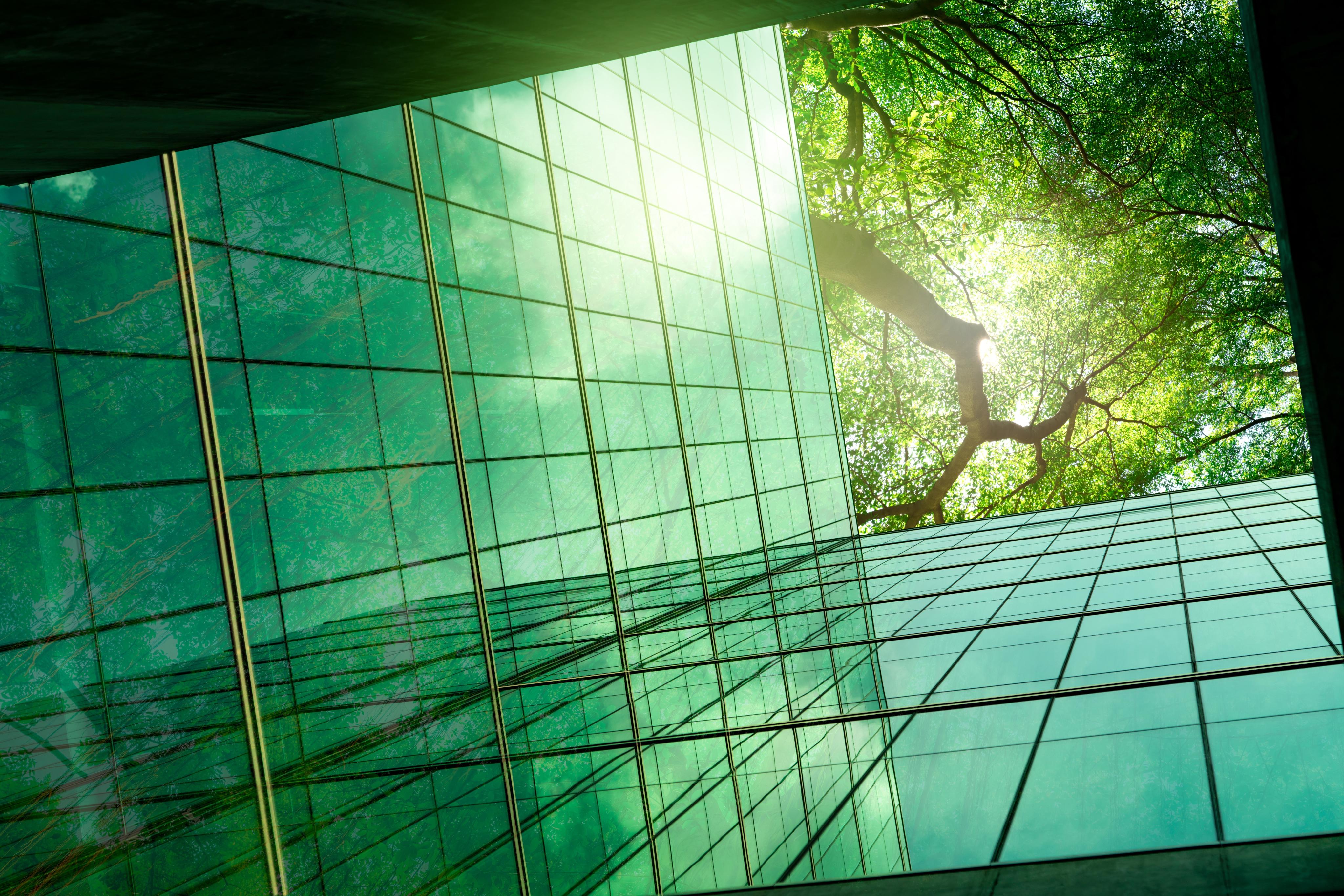 Edificio y un arbol