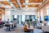 Cool Working: espacios de trabajo de alto rendimiento