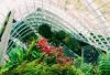 Biofilia a les oficines
