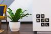 Choosing the best co-working space