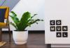 Employer branding, estrategias para velar por la felicidad de los empleados
