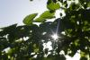 Criterios ESG: la clave para medir la sostenibilidad de las empresas a largo plazo 