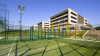 Offices that care: creating spaces for connection and well-being